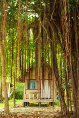 Fototapeta na wymiar KOH CHANG, THAILAND - January, 2013: Bungalo Houses on a tropica