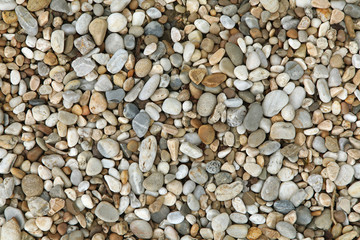 Gravier multicolore