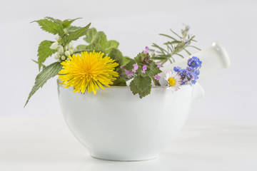 Herbs and spices in mortar