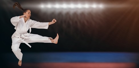 Composite image of fighter performing karate stance © vectorfusionart