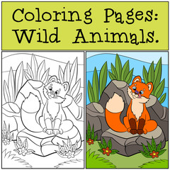 Coloring Pages: Wild animals. Little cute baby fox