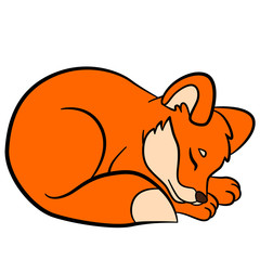 Coloring pages. Wild animals. Little cute baby fox.
