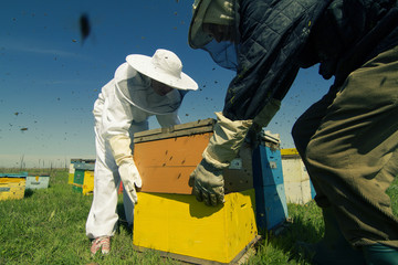 two beekeepers lifting a honeycomb crate