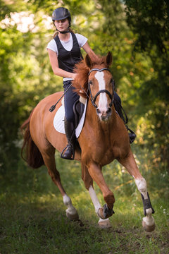 Fototapeta Girl riding a horse