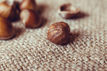 Filtered image of Hazelnuts on rustic background