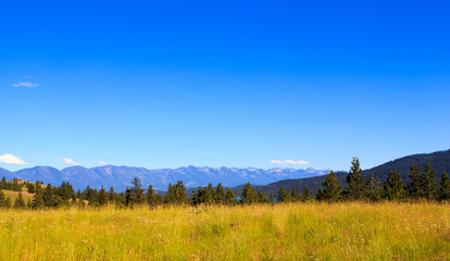 Fototapeta premium Mountain Landscape.