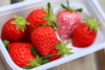 Fresh Strawberry in farm