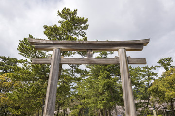 出雲大社の鳥居