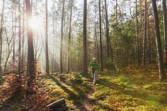Germany, Rhineland-Palatinate, man hiking at Dahn Rockland on winter day