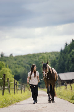 Young woman leading young brown horse on a field path