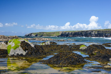 Obraz premium Seaweed covered rocks on the west coast of Ireland