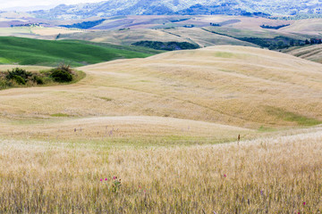 Fototapeta premium Un jour en Toscane