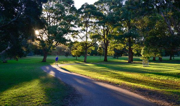 Beautiful park in Sydney.