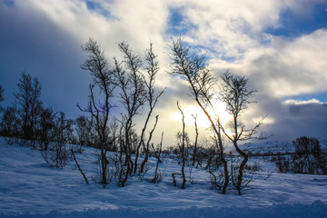 Fototapeta na wymiar Winter in Norway, Hovden