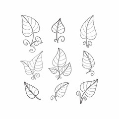 Set of decorative leaves drawn by hand.