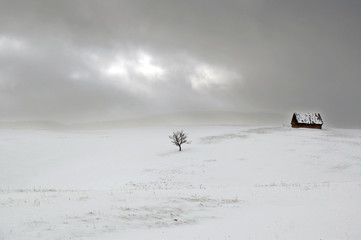 Stormy winter landscape with single tree and wooden cabin on top of mountain