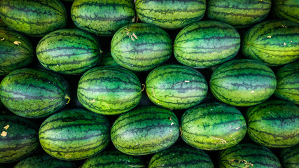 Sweet green watermelons background