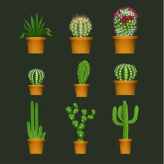 Different cactus types in flower pot realistic isolated plant icons set. Vector illustration