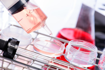 Laboratory glassware containing chemical liquid, science researc