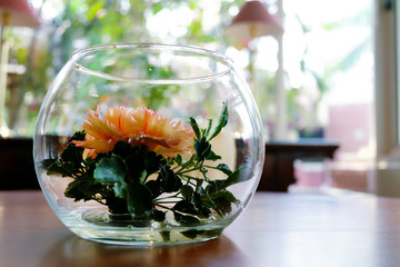 Beautiful flowers in glass decoration on the table