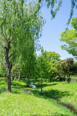 Walk road of the Genpei River