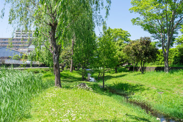 Walk road of the Genpei River