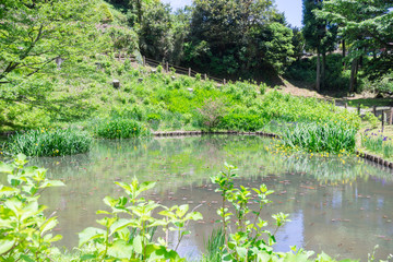 Pond of the Yamanaka Castle ruin Park
