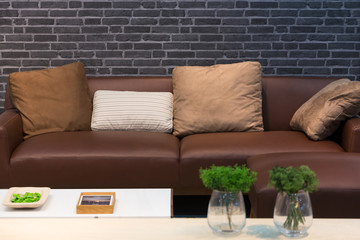 Leather sofa and cushions