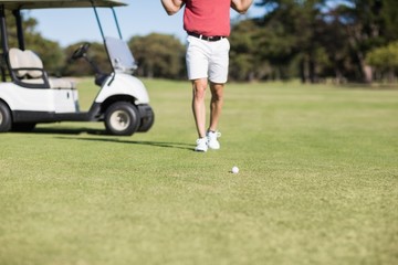 Obraz premium Low section of man by golf buggy 