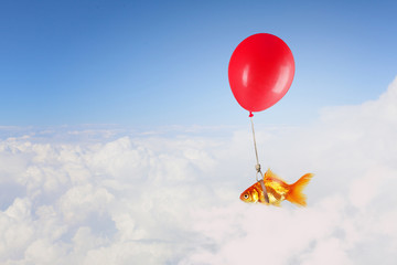 Goldfish fly on balloon . Mixed media