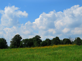 Ideal Midwestern Meadow with Clouds in summer