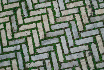 Old cobblestone background with grass / Brick with grass / tiles with grass / stone way in green...
