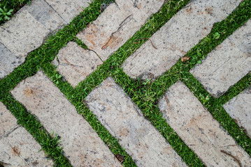 Old cobblestone background with grass / Brick with grass / tiles with grass / stone way in green grass / Bending garden stone path / garden stone path with grass