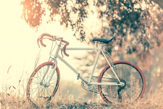 Sport Vintage Bicycle with Summer grass field
