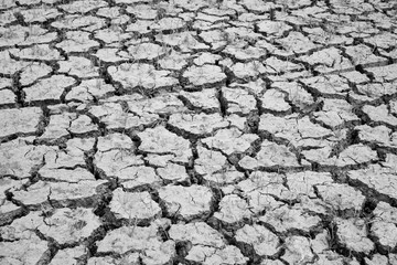 Cracked dry land