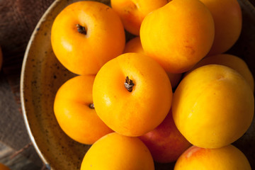 Raw Organic Yellow Plumcots