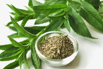 Fresh mint with dried mint leaves in a glass bowl