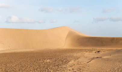 Dunes of Maspalomas - protected landscape area in Canary Island