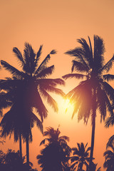 Obraz na płótnie Canvas Silhouette coconut tree with sunset