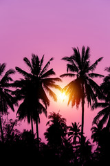 Fototapeta na wymiar Silhouette coconut tree with sunset