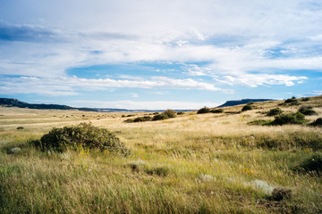 Rolling grassy landscape, colorado