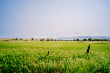 Wire fence on lush green farmland