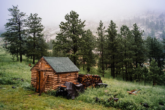 Log cabin on hillside by forest
