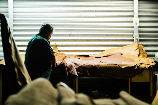 Man in workshop quality checking leather animal hide