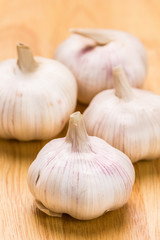 Garlic