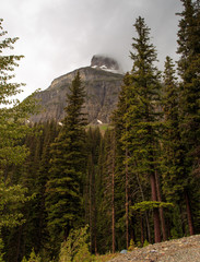 Scenic of Glacier National Park, Montana.