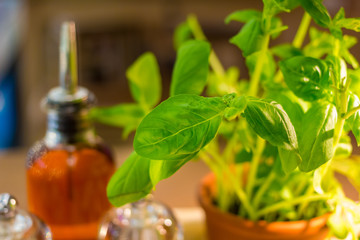 Italian restaurant attributes