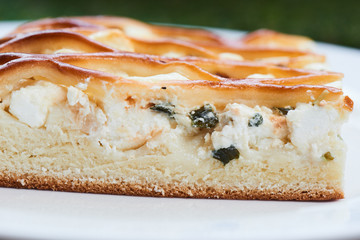 A piece of pie with a filling of cottage cheese and dried fruits on white plate closeup