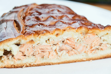 A piece of pie stuffed with salmon on a white plate closeup