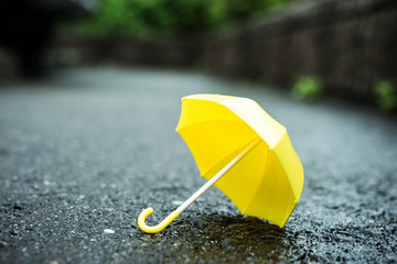 黄色い雨傘